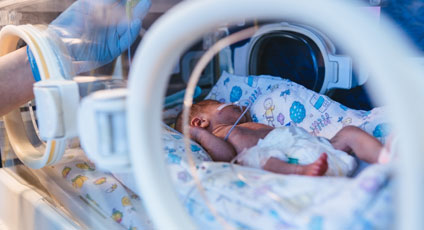nicu care little fern